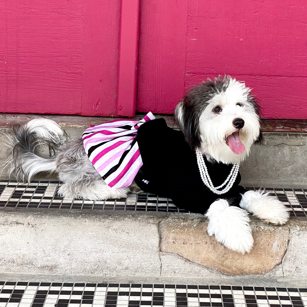 Funny Dog Names Girl Black Long Sleeve Turtleneck