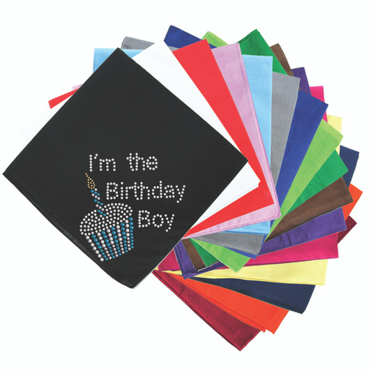 I'm the Birthday Boy - Bandana