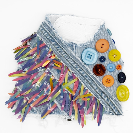 Fall Sequin & Button Harness Vest