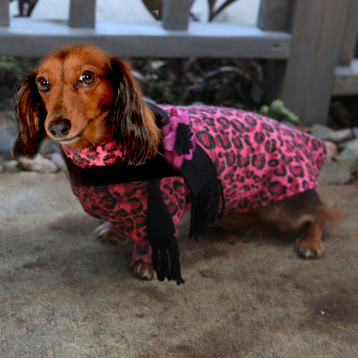 Dogs will be comfortable and stylish in this pink and black leopard print dress.  100% polester with the look of an angora wool blend.  Each dress includes a coordinating black fleece scarf and removable felted wool flower pin.  Dress coordinates with the Ava Coat