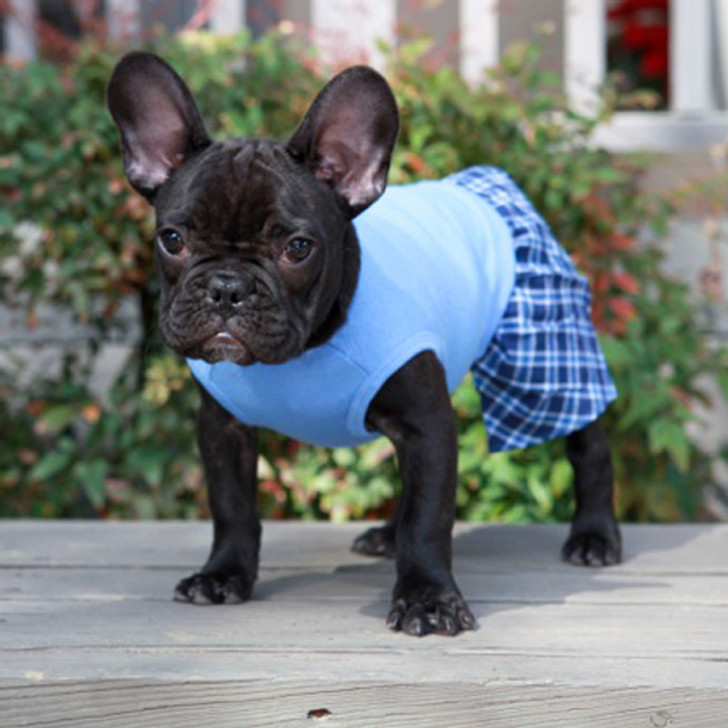 Designed to protect furniture and walls from territorial marking.  Belly Boxers are a more fashionable choice for dogs used to wearing old fashion belly bands.  Shorts are designed with a pouch for inserting a feminine pad.
These are also available as regular Boxer Shorts.