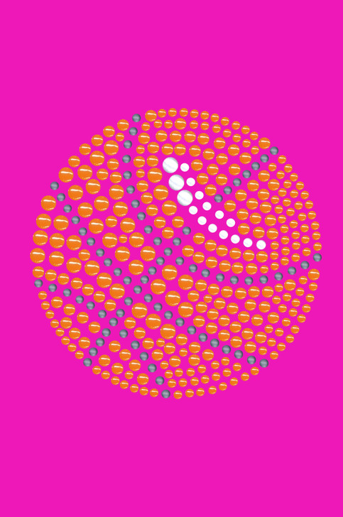 Basketball - Bandana