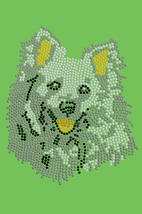 American Eskimo # 2 - bandana