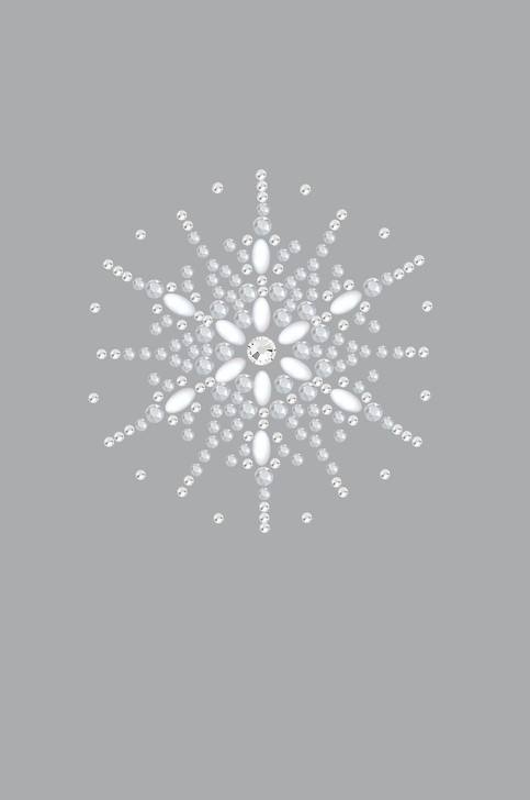 Snowflake #2 - Gray Women's T-shirt