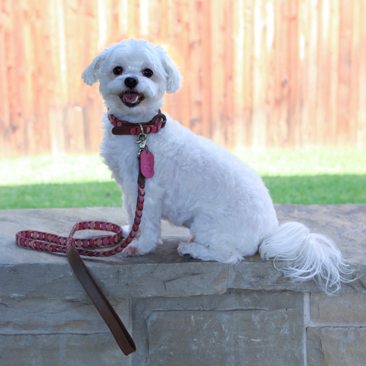 Shades of Pink Leather Dog Collar.  All collars are handmade with a soft leather that gets softer with wear.  Attachments may be purchased separately to go with the collars.  Our collars, harnesses, and leashes won the 2015 Editors' Choice Award form Pet Product News International.