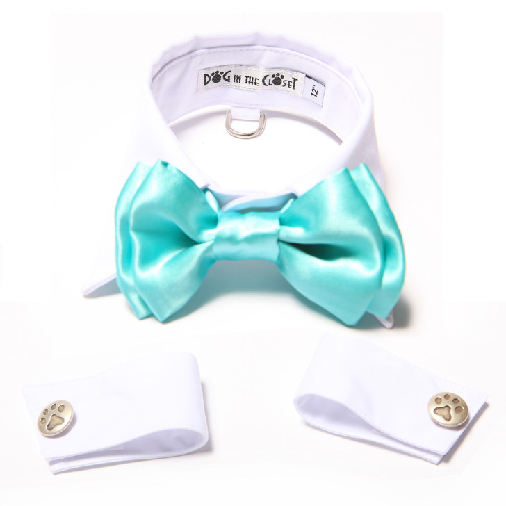 White shirt collar with aqua blue blow tie and cuffs.