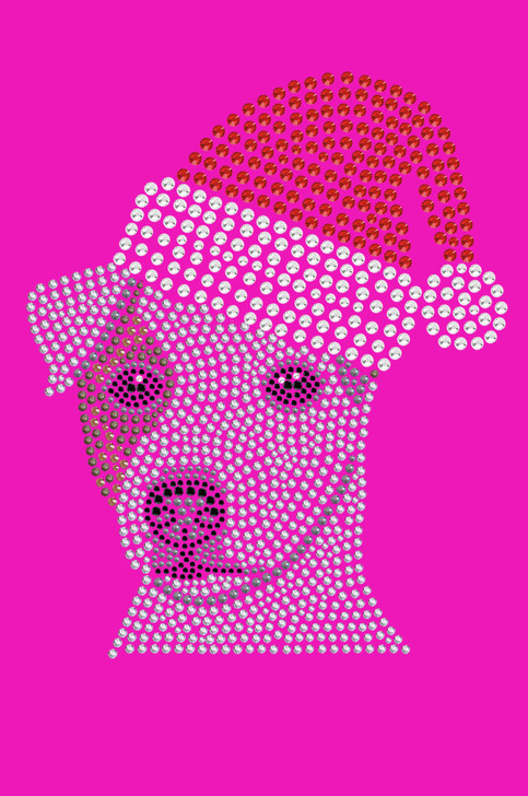 Jack Russell Terrier with Santa Hat - Hot Pink Bandana