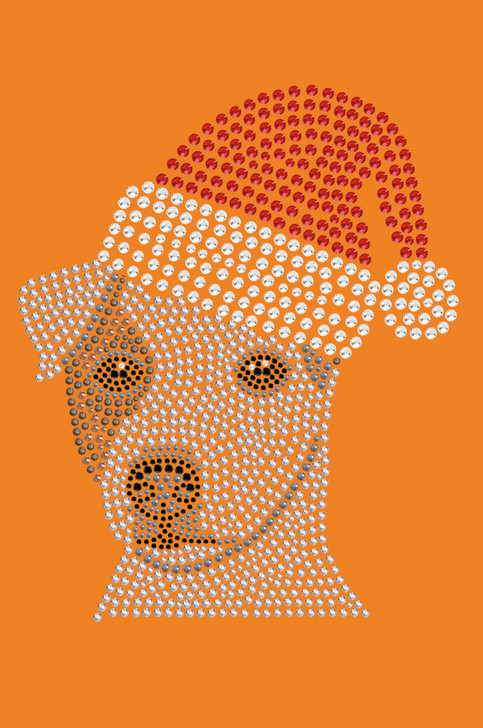 Jack Russell Terrier with Santa Hat - Orange Bandana