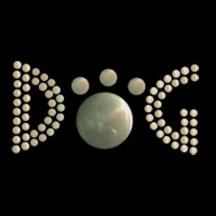 Small Rhinestone Design Added to Front of Dog Tank