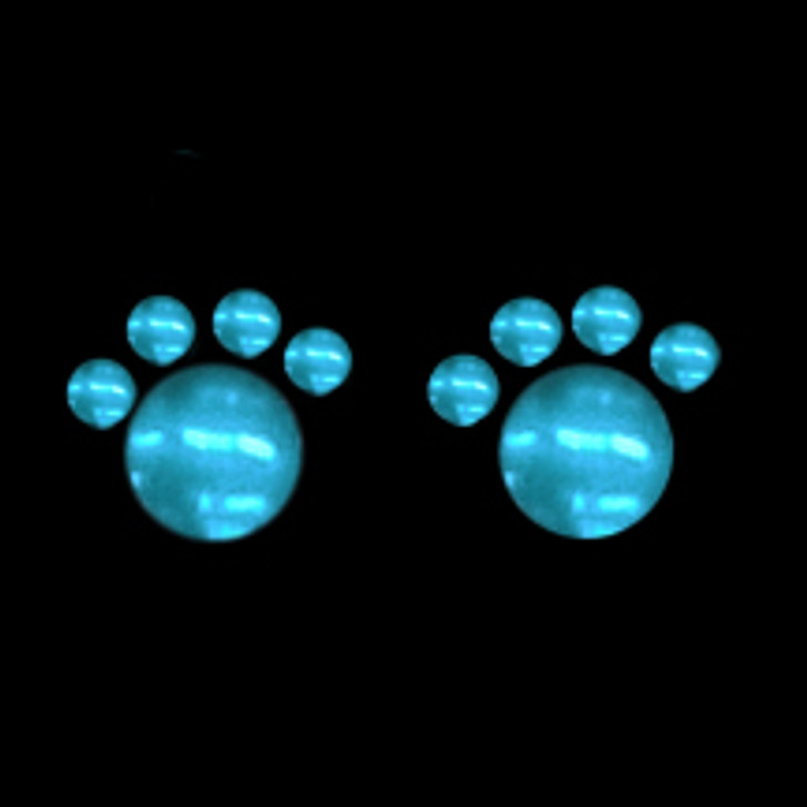 Small Rhinestone Design Added to Front of Dog Tank