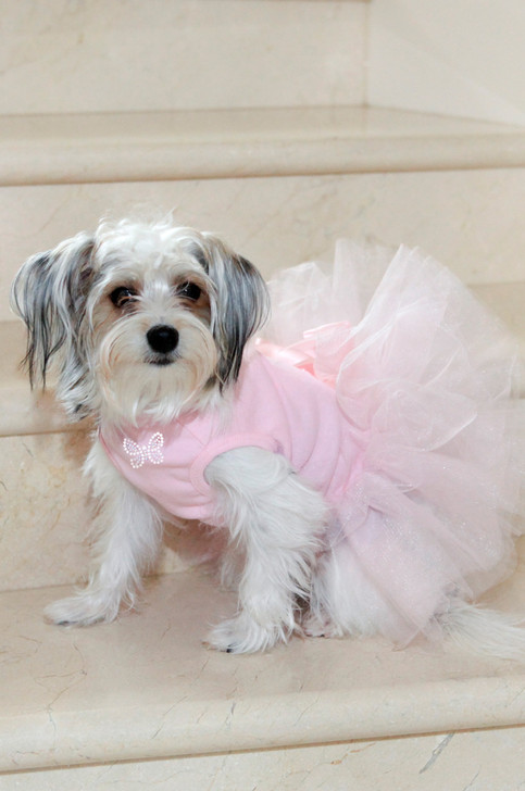 Small Rhinestone Design Added to Front of Dog Tutu