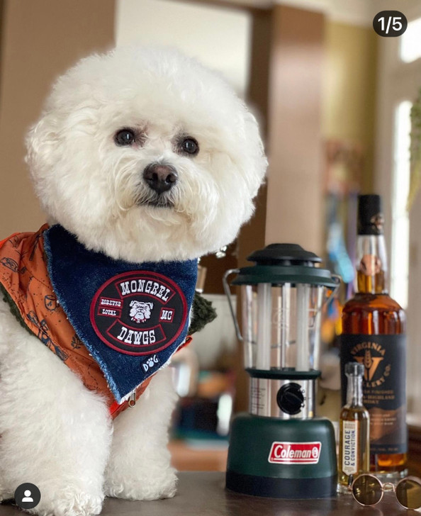   Mongrel Dawgs MC Logo Denim Bandanna