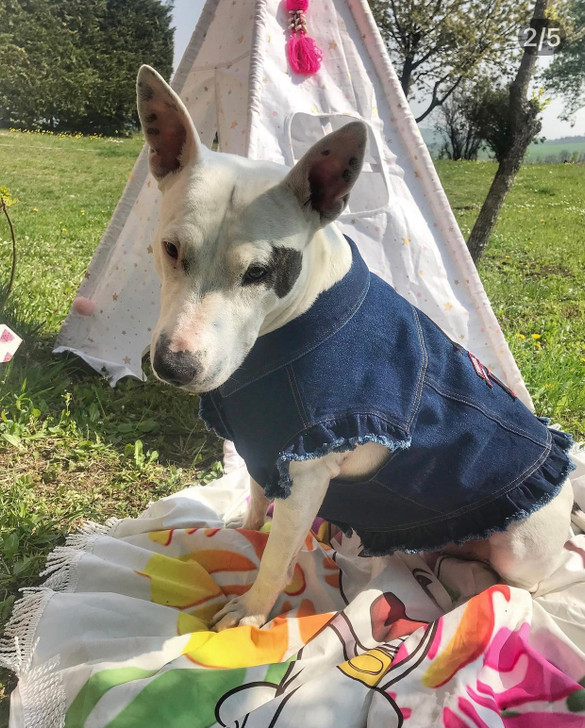   Mongrel Dawgs MC - Denim Jacket with Ruffles