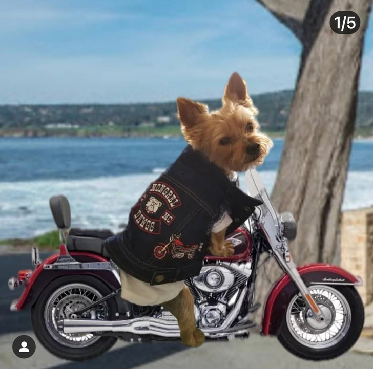   Mongrel Dawgs MC Denim Jacket