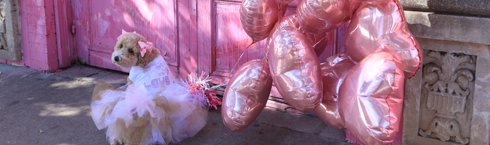 hearts-tutus2-copy.jpg