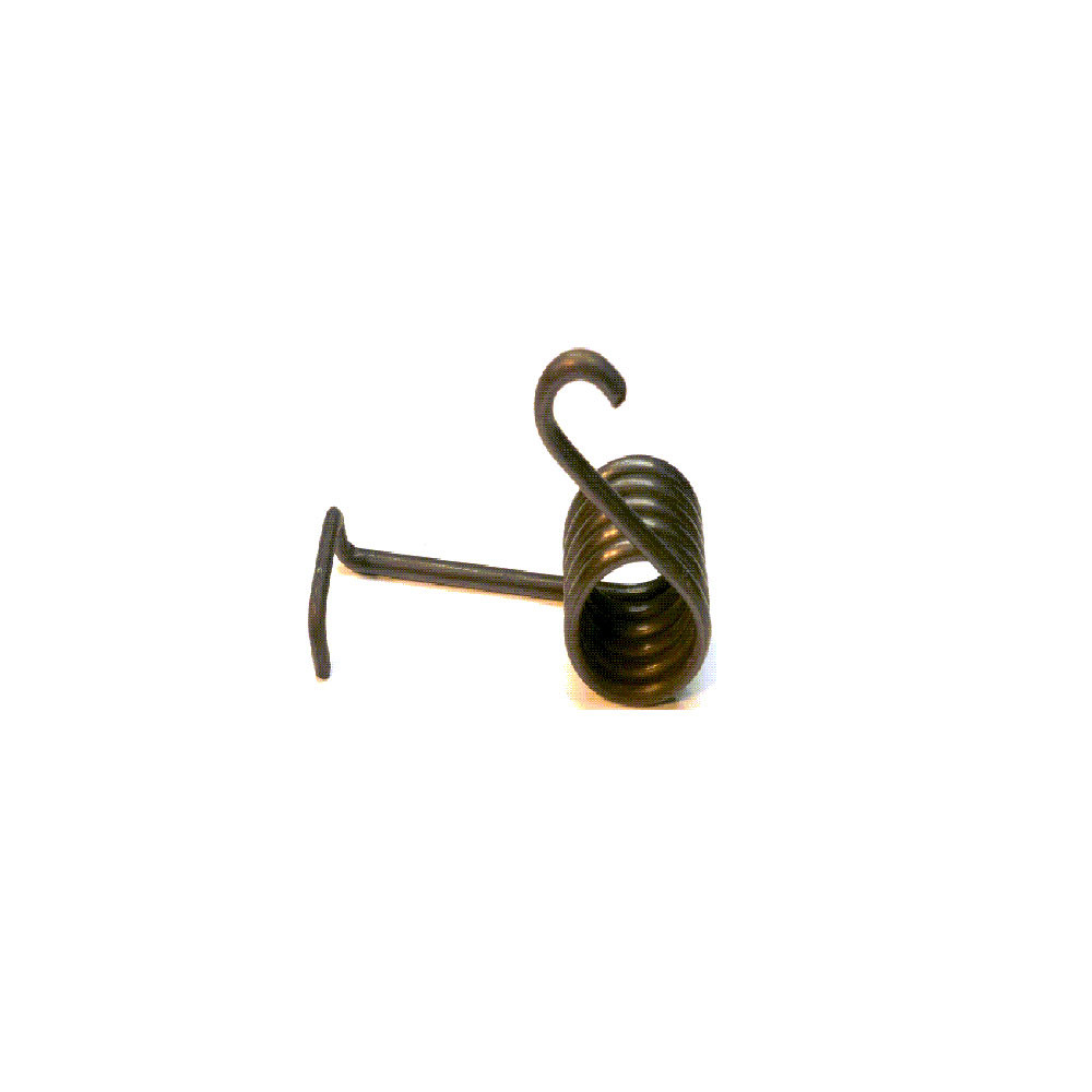 Chain Tensioner Spring ZLL/SA - 4211263