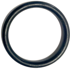 Gasket O-Ring 4118