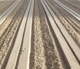One row cultivator attached to tractor creating clean garden rows for planting