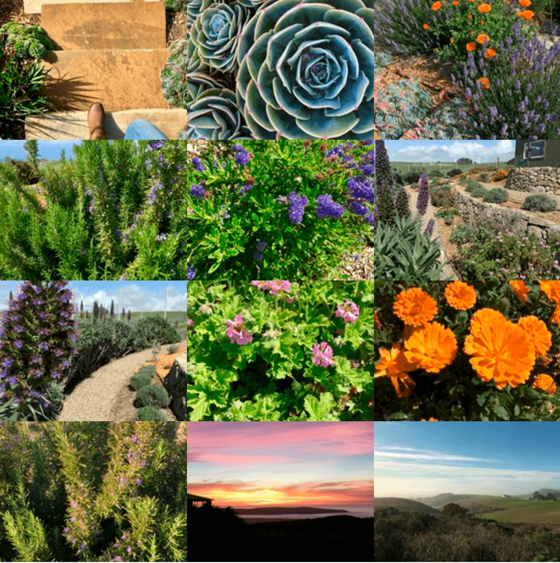 Hands In The Soil - Permaculture 101