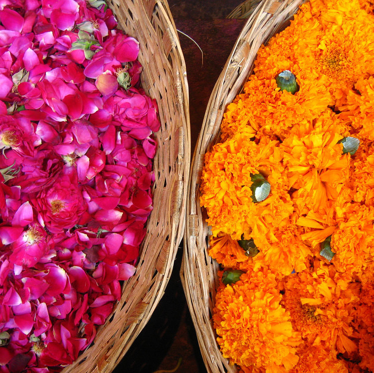 Herbs, Oils & Extracts