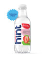 hint® 16 oz. Strawberry Kiwi Flavored Water