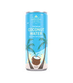 Harney & Sons 10.8 fl. oz. Premium Coconut Water