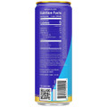 Liquid Death 12 fl oz. Tropical Terror Sparkling Energy