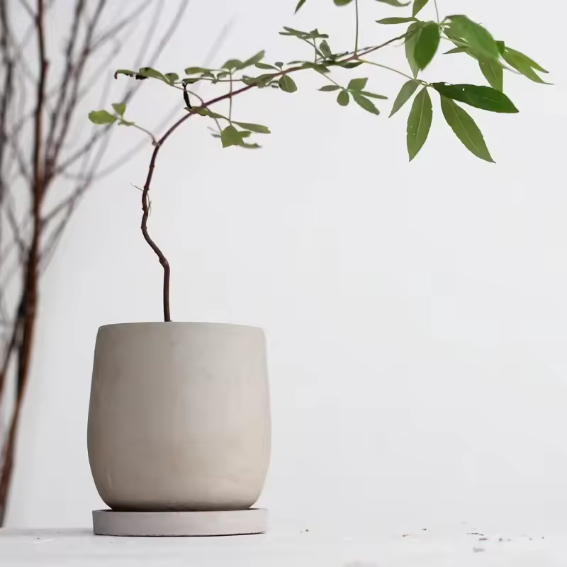 Round Cement Flowerpot