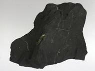 Shungite