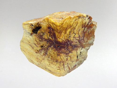 Unique earthy colours ... prehistoric fossil wood that was a living tree at the time of the Dinosaurs!