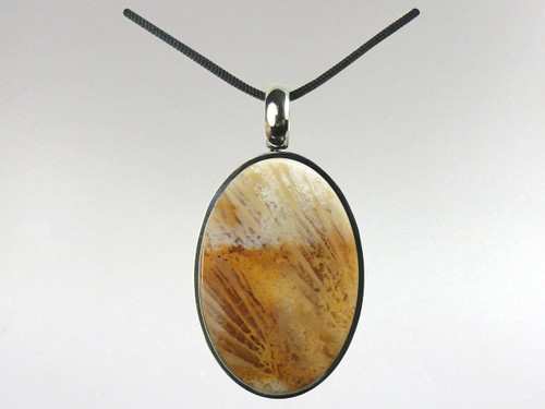 Coral Fossil oval pendant set in surgical steel on black cord.