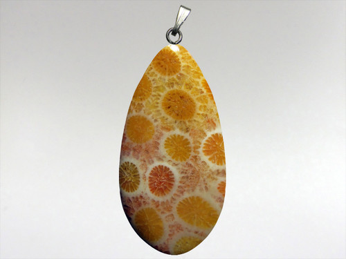 Coral Fossil 40mm Tear Drop Pendant