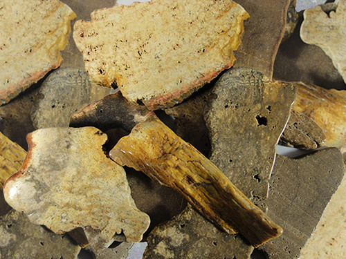 Fossil Wood Tumbled Stone Slice -  250g bag