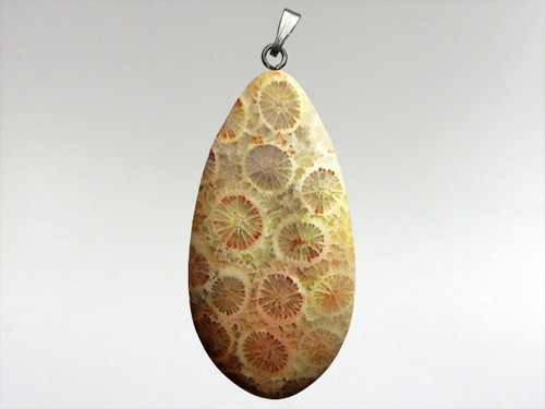 Coral Fossil  40mm Tear Drop Pendant.