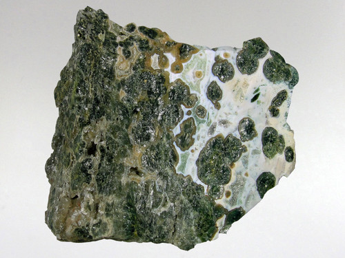 Amazing shades of green and white in this orbicular jasper.