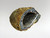 Agate Geode 03