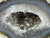 Agate Geode 05