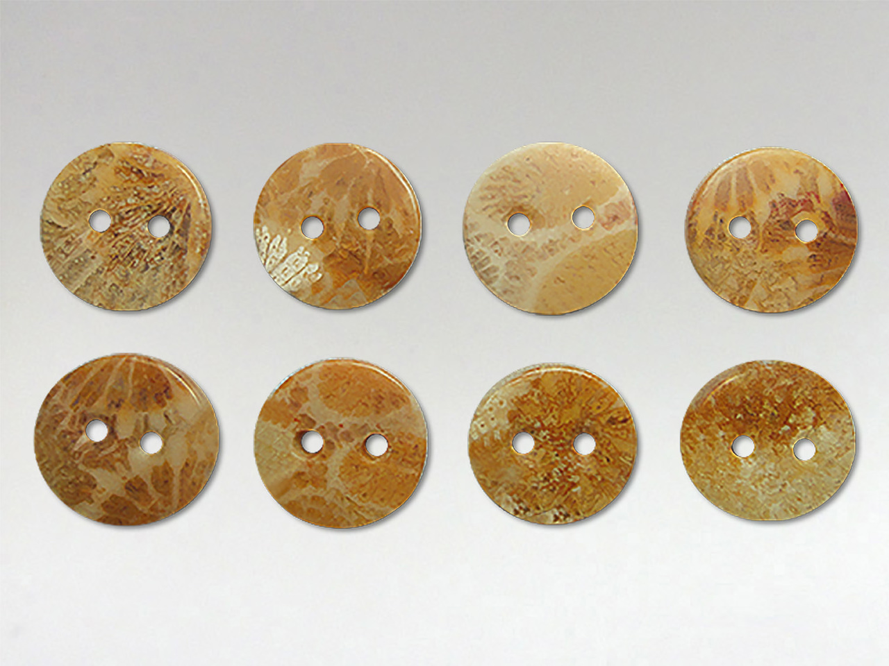 Buttons 10mm - Coral Fossil