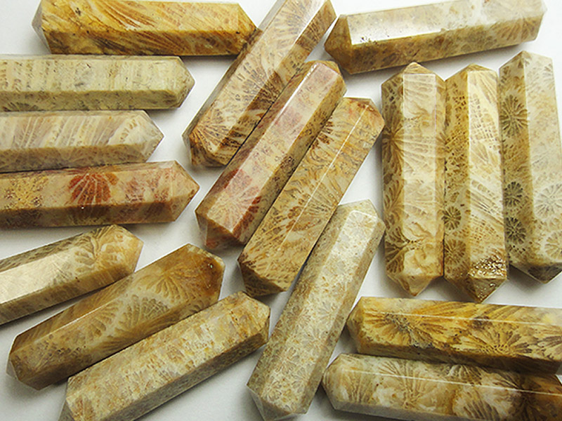 Double Point - Coral Fossil