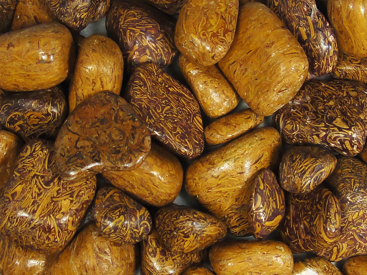 Tumbled Stone - Himalayan Sea Fossil 250g