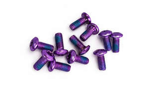 Disc Brake Rotor Bolts 12PCS T25 PURPLE Finish M5x10mm