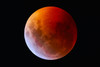 January 2019 Lunar Eclipse image taken with SVX152-T