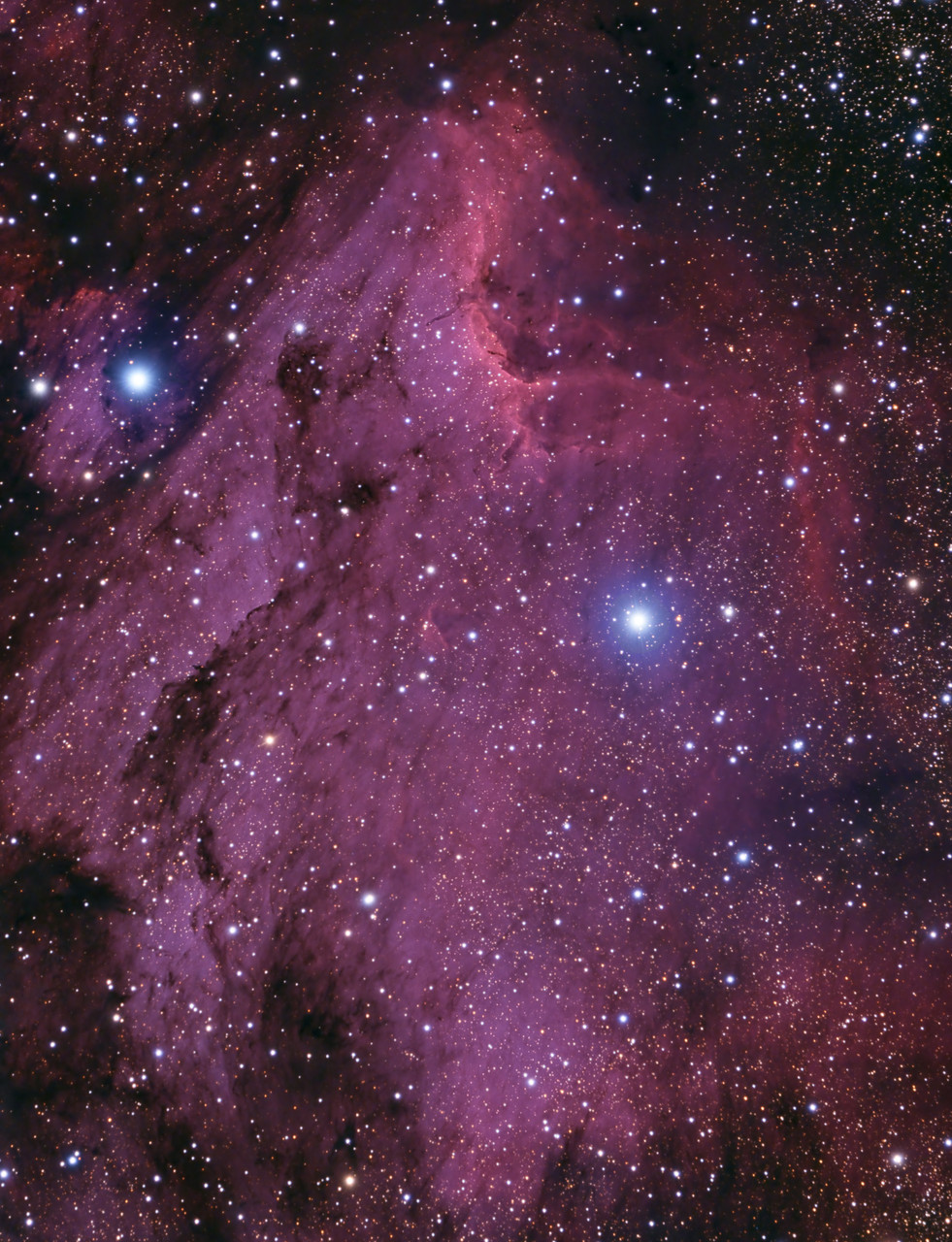 Pelican nebula - Gene Helsel