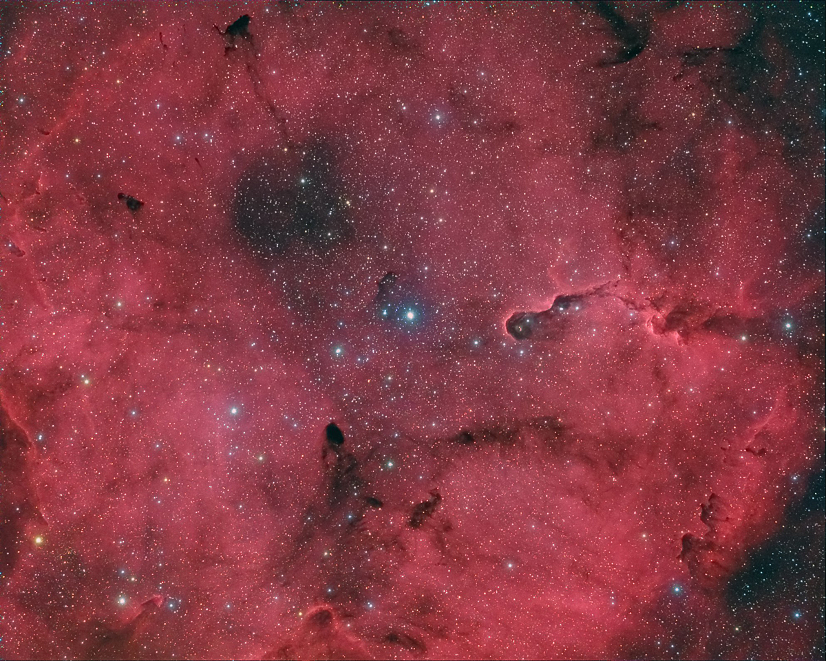 a012-elephant-trunk-emission-nebula-ic1396-in-cepheus.-4.3-hours-hargb-image..jpg