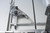 IMER Combicut 250/1000VA Tile & Stone Saw w/Stand