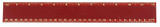 Pro-Scale Plastic Logo Ruler - 12