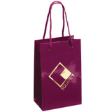 Glossy Laminated Custom Shopping Bag - 5.25