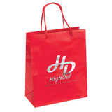 Glossy Laminated Promotional Shopping Bag - 10