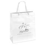 Glossy Laminated Promotional Shopping Bag - 10