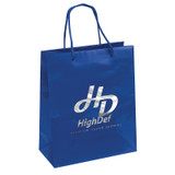 Glossy Laminated Promotional Shopping Bag - 10